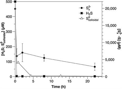 Turnover Rates of Intermediate Sulfur Species (Sx2-, S0, S2O32-, S4O62-, SO32-) in Anoxic Freshwater and Sediments